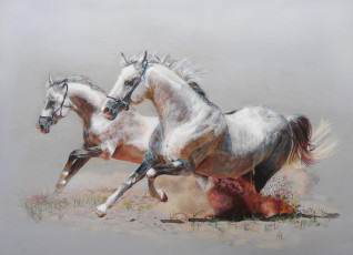обоя рисованные, животные, лошади, бег, пара, пыль