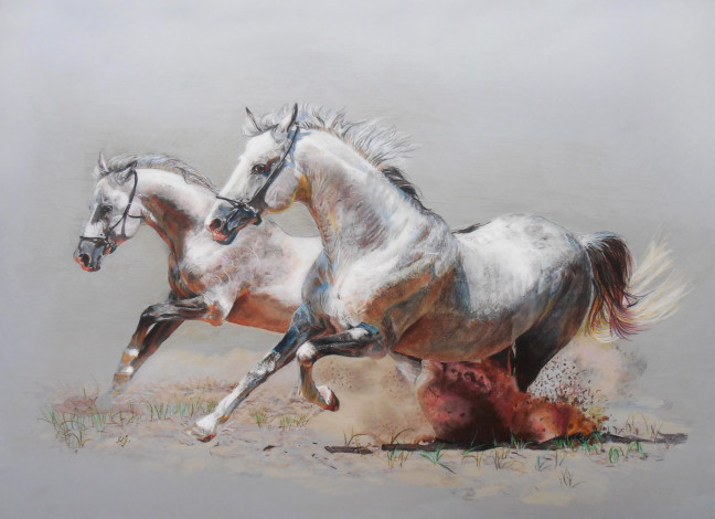 Обои картинки фото рисованные, животные, лошади, бег, пара, пыль