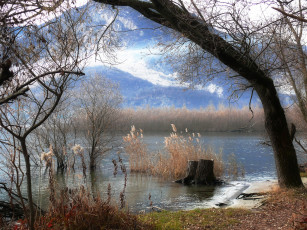 Картинка природа пейзажи дерево камыш река горы осень
