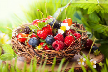 Картинка еда фрукты +ягоды корзина черника клубника