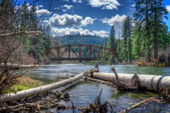Картинка природа реки озера река лес мост бревна
