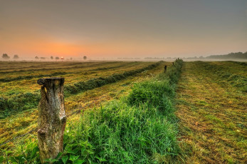 Картинка природа поля дымка утро поле горизонт жнивье
