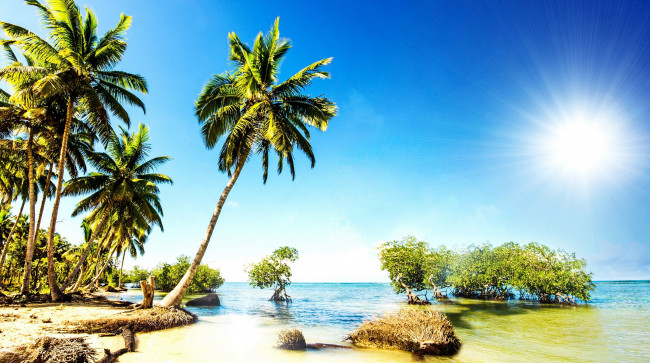 Обои картинки фото природа, тропики, summer, sunshine, ocean, sea, beach, берег, песок, пальмы, море, пляж, vacation, palms, paradise, tropical