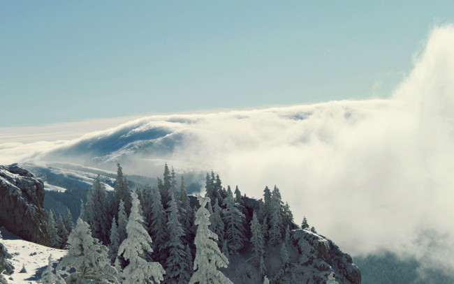 Обои картинки фото природа, зима, туман, лес, деревья, горы, снег, облако