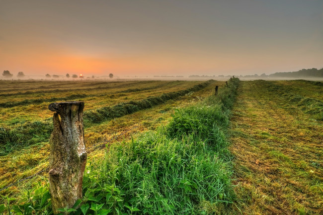 Обои картинки фото природа, поля, дымка, утро, поле, горизонт, жнивье