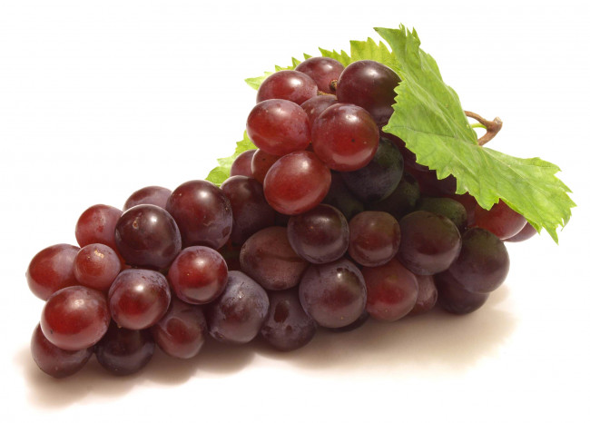 Обои картинки фото еда, виноград, макро