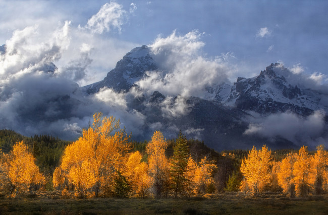 Обои картинки фото природа, горы, осень, деревья, облака, скалистые, вайоминг, гранд-титон, rocky, mountains, wyoming, grand, teton, national, park