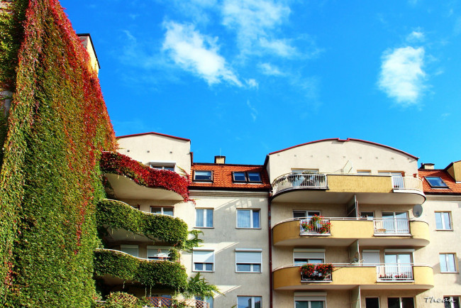 Обои картинки фото разное, элементы архитектуры, зелень, балконы