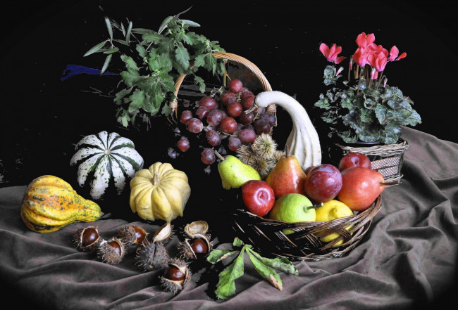 Обои картинки фото еда, натюрморт, фрукты, овощи, цветы