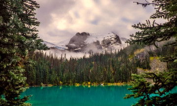 Картинка природа реки озера горы туман канада камни озеро лес облака скалы деревья
