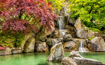 Картинка природа водопады парк камни осень кусты пруд водопад