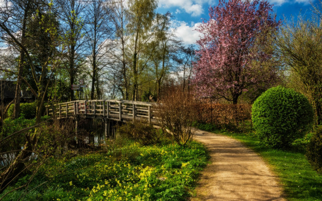 Обои картинки фото природа, дороги, кусты, мост, солнце, нидерланды, речка, цветение, облака, деревья