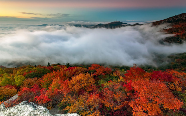 Обои картинки фото природа, лес, камни, утро, деревья, туман, горы