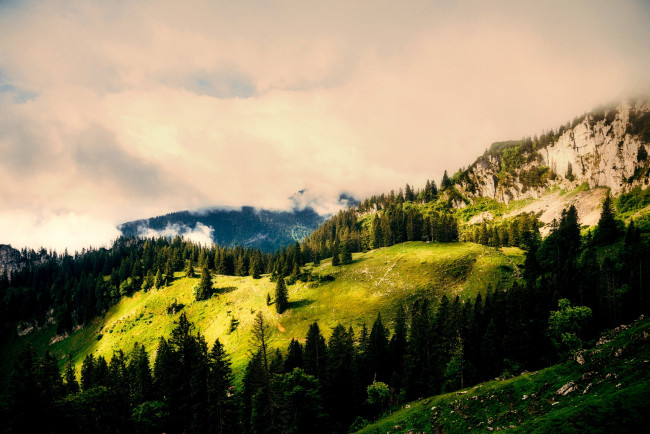 Обои картинки фото природа, горы, деревья, скалы, лес, вид, сверху, германия, облака, солнце
