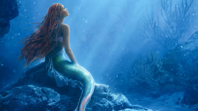 Обои картинки фото кино фильмы, the little mermaid, the, little, mermaid, русалочка
