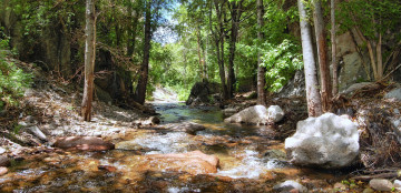 Картинка природа реки озера вода поток камни деревья