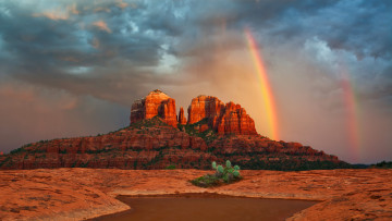 Картинка природа радуга кактус горы облака