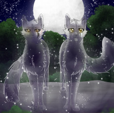 Картинка рисованные животные +сказочные +мифические прозрачные кошки луна ночь