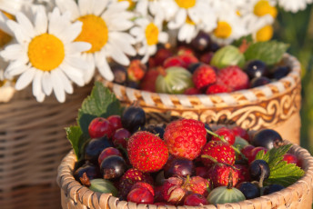 обоя еда, фрукты,  ягоды, смородина, ромашки, крыжовник, малина, клубника
