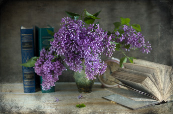 Картинка цветы сирень книга букет ваза