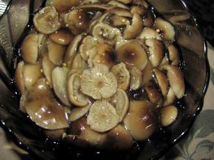 Картинка еда грибы +грибные+блюда маринованные опята