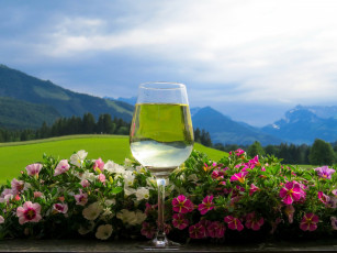 Картинка еда напитки +вино петуния бокал вино пейзаж