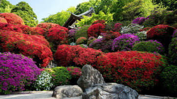 Картинка природа парк садик японский камни