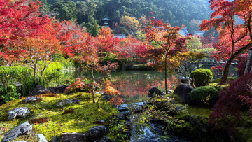 обоя природа, парк, садик, осень, японский