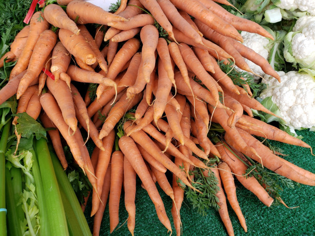Обои картинки фото еда, морковь, корнеплоды