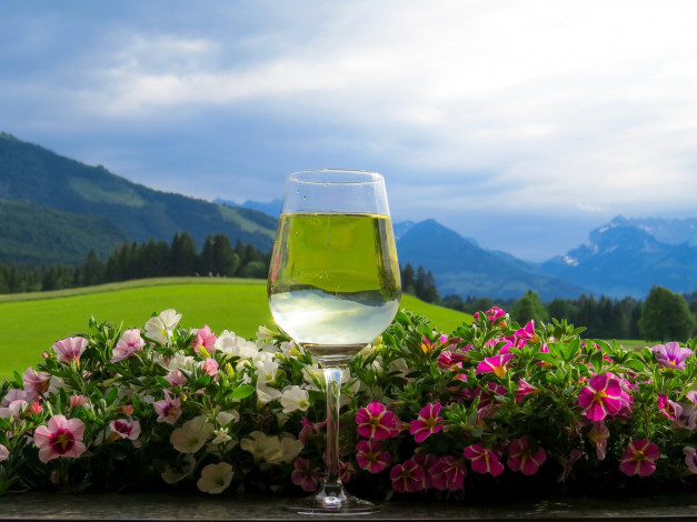 Обои картинки фото еда, напитки,  вино, петуния, бокал, вино, пейзаж