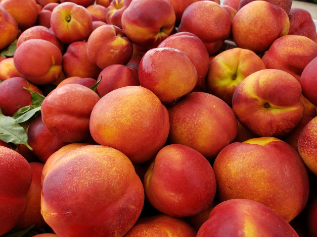 Обои картинки фото еда, персики,  сливы,  абрикосы, нектарины