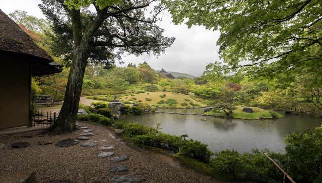 Обои картинки фото природа, парк, японский, пруд, садик