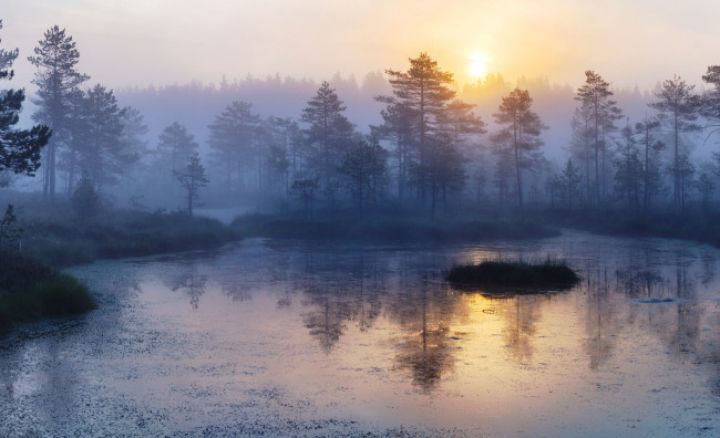 Обои картинки фото выборгский район ленинградской области, природа, реки, озера, лес, туман, озеро