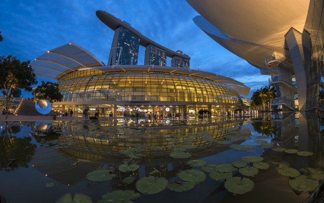 Обои картинки фото города, сингапур , сингапур, здания, листья, пруд