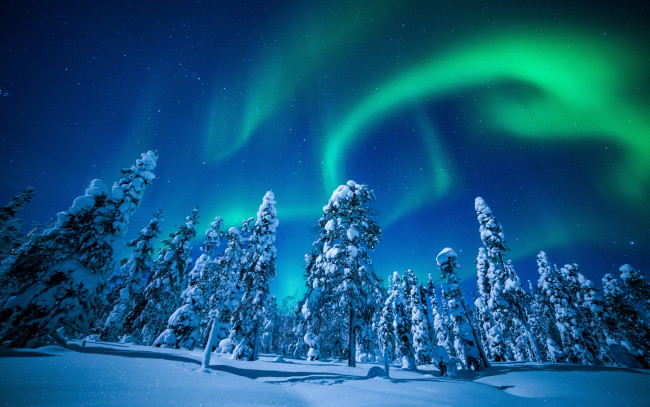 Обои картинки фото природа, северное сияние, сияние, снег, деревья, зима, небо