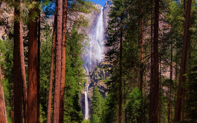 Обои картинки фото природа, водопады, скалы, лес, водопад