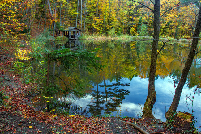 Обои картинки фото природа, реки, озера, листопад, осень