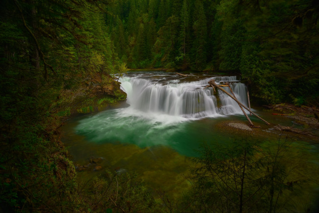 Обои картинки фото природа, водопады, река, деревья, лес, водопад