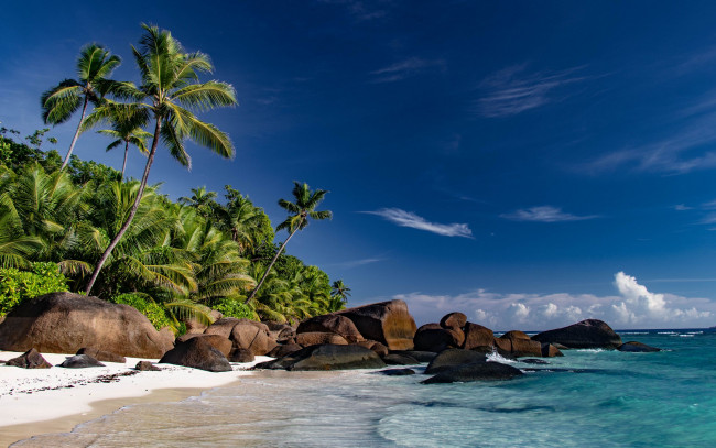 Обои картинки фото природа, тропики, море, камни, пальмы