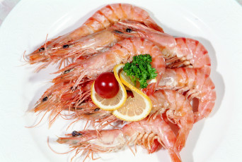 Картинка еда рыбные+блюда +с+морепродуктами лимон креветки
