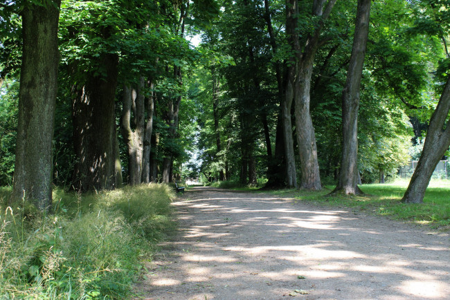 Обои картинки фото lublin province, poland, природа, парк, lublin, province