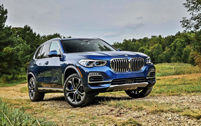 Обои картинки фото bmw x5 2018, автомобили, bmw, синий, поляна, лес