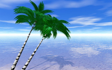Картинка 3д графика nature landscape природа пальмы