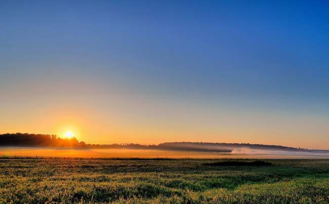 Обои картинки фото природа, восходы, закаты, утро, солнце, восход, поле, луг