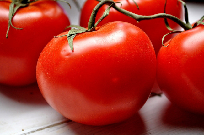 Обои картинки фото еда, помидоры, красный, круглый, томаты