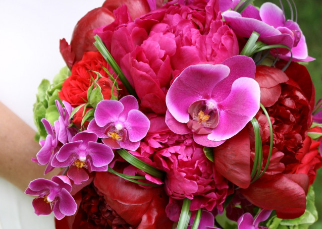 Обои картинки фото цветы, букеты, композиции, пионы, орхидеи
