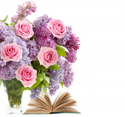Картинка цветы букеты композиции букет розы сипень книга