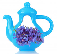 обоя цветы, васильки, бирюзовый, синий, чайник