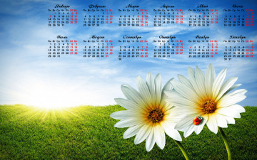Картинка календари компьютерный дизайн ромашки