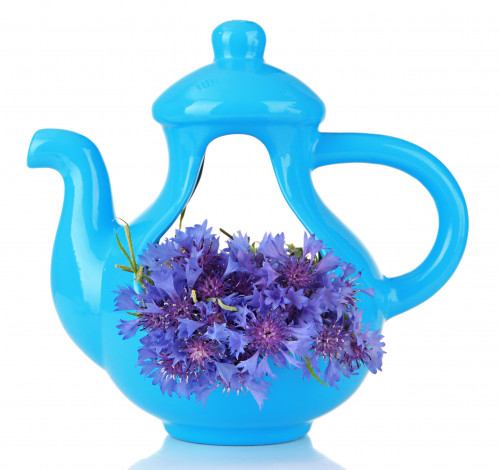 Обои картинки фото цветы, васильки, бирюзовый, синий, чайник